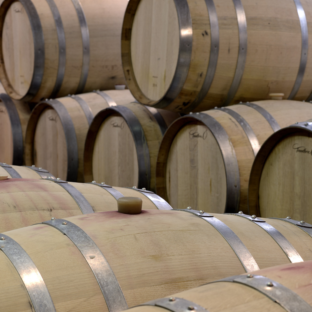 barrel tasting private locust lane wines